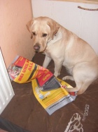 Sheila beim lesen.jpg Sheila beim lesen.jpg